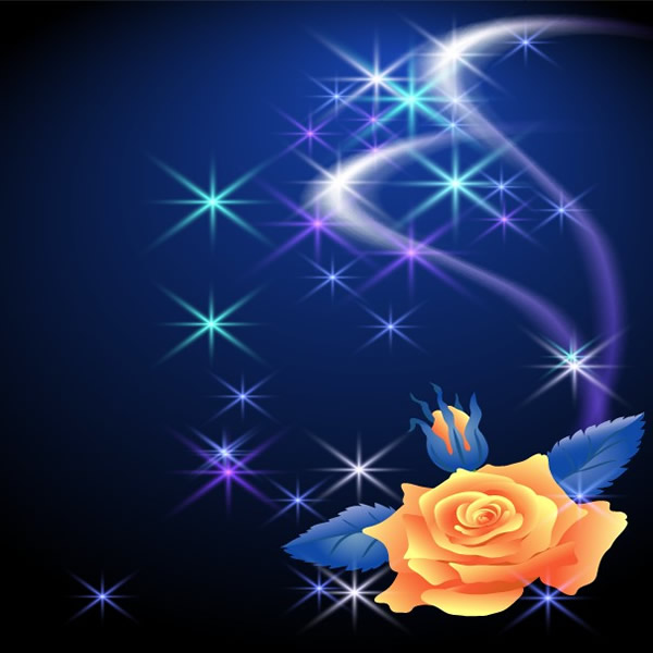 Starlight Rose Lace Background