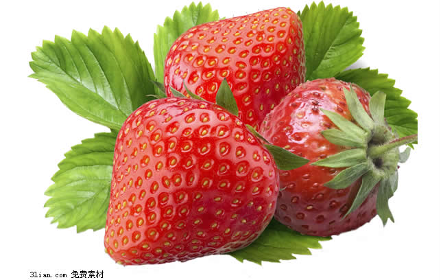 Erdbeere Psd material