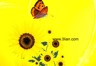 bunga matahari dan kupu-kupu