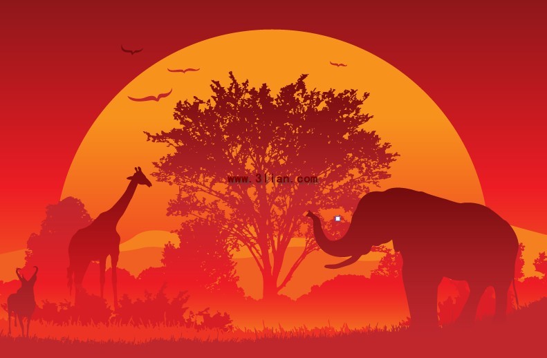 夕阳大象长颈鹿