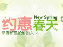 Taobao о Хуэй Весна веб-дизайн psd вещи