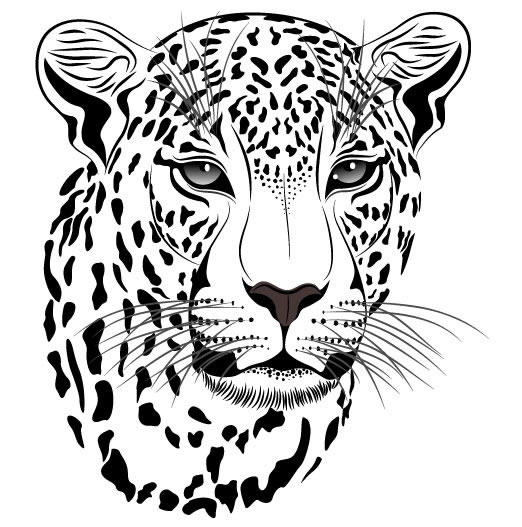 leopard materiału głowa