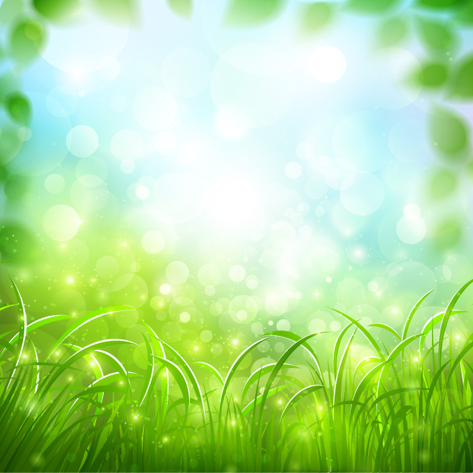 il paesaggio di morbida erba verde
