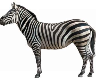 Una Zebra Letteraria