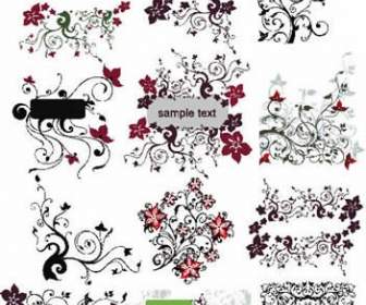 A Wide Variety Of Delicious Pattern Lace