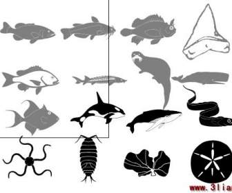 Alle Arten Von Meereslebewesen Skizzieren