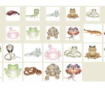 amphibian png icons