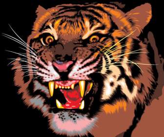 животных материала Тигр