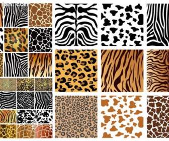 Animal Skin Texture Background