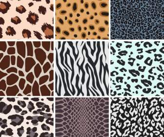 Animal Skin Textured Pattern