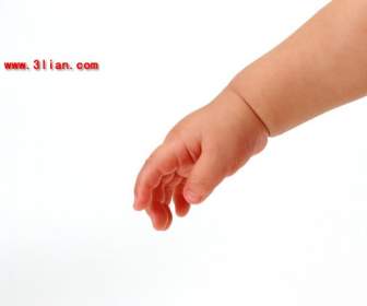 Mãos De Bebê