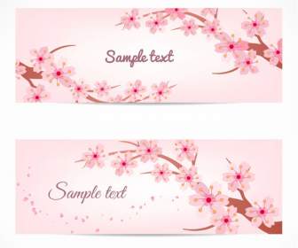 Background Of Pink Cherry Blossoms In Spring