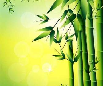 Bambus-Hintergrund