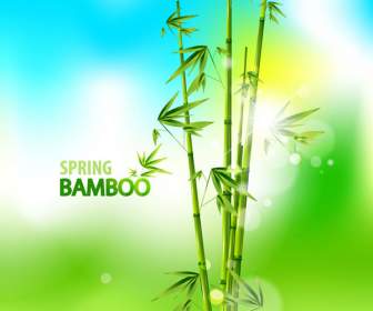 Bambus-Träume-Hintergrund