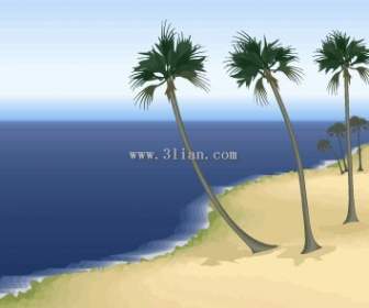 海灘棕櫚樹