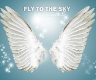 Beautiful Angel Wings Design Background Psd Material