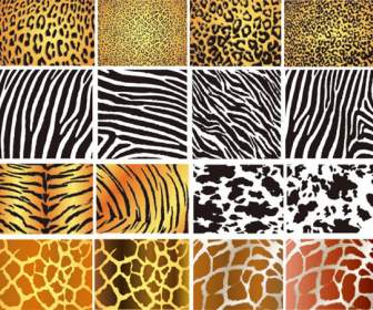 아름 다운 동물 모피 패턴