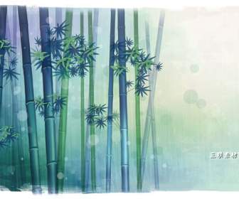 Beautiful Bamboo Forest Background Psd Material