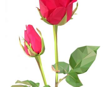 Indah Bunga Mawar Yang Indah