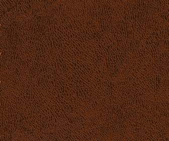 Beautiful Brown Leather Texture