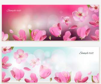 Wunderschöne Kirschblüte Banner