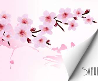 Latar Belakang Indah Bunga Sakura