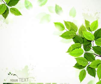 Beautiful Green Leaves Background