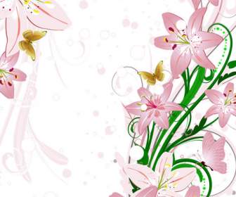 Latar Belakang Bunga Lily Pink Yang Indah