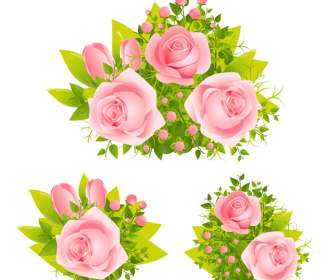 Hermosas Rosas Rosadas