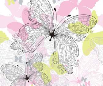 Reticolo Di Farfalla Splendidamente Colorate