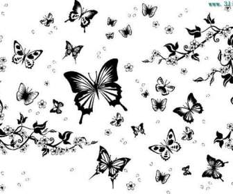 黑白相间的蝴蝶