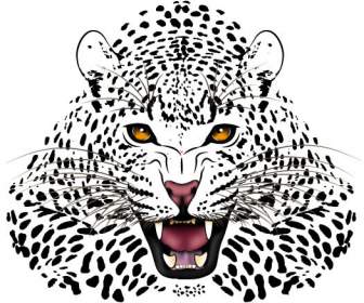 Leopardo Moteado Blanco Y Negro