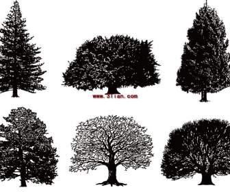 черно-белые деревья