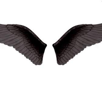 黑色的翅膀和 Psd