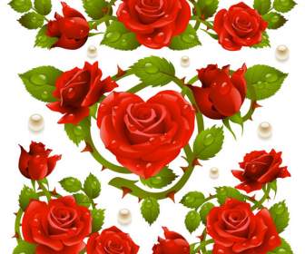 鮮豔的紅玫瑰