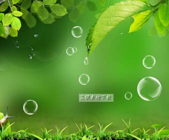 Bubble Fresh Green Leaf Snail Background Psd Material
