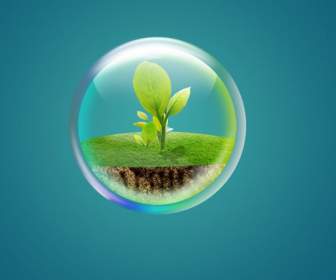 bubble green seedlings in psd material