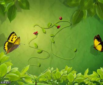 Bud Green Butterfly Psd Material