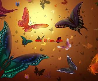 Schmetterling-Hintergrund