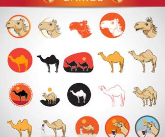 Patrón De Camello