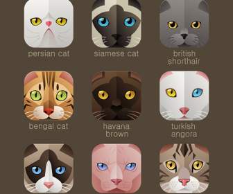 Cartoon Cat Avatar Icons