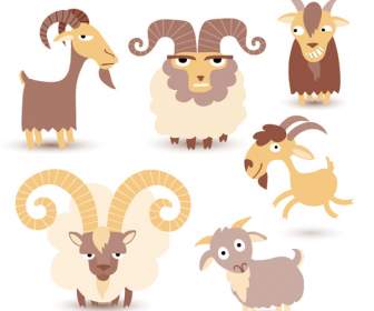 Cartoon Sheep Design