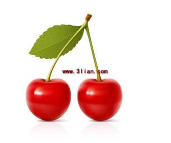 Cherry Fruit Material