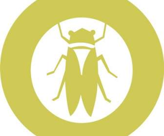 Cicada Icon Material