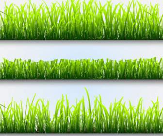 очистить зелёный газон