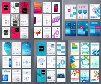 Colorful Brochures Design