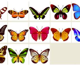 五顏六色的蝴蝶 Png 圖示