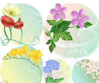 Bunga Berwarna-warni Latar Belakang Shading