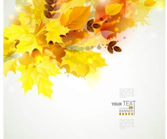 Colorful Leaves Background