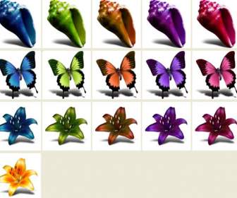 conch butterfly lily png icons
